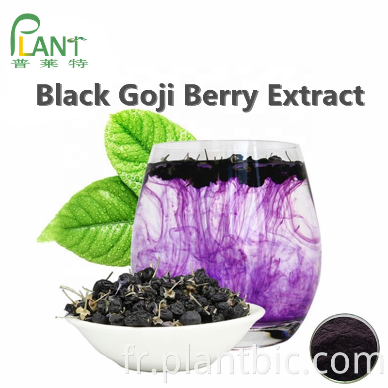 Black Goji Berry Extract Powder